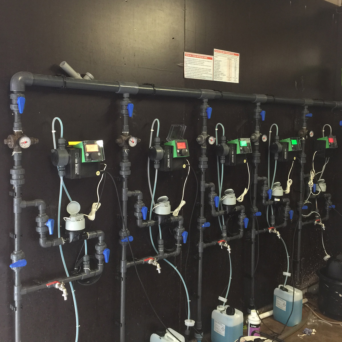 Grundfos pumps dosing system