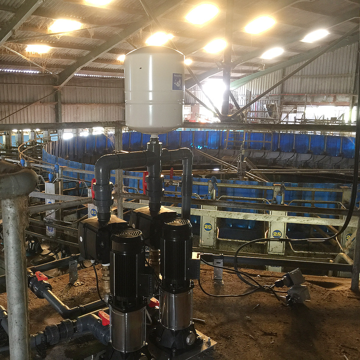 Booster pumps in milking parlour